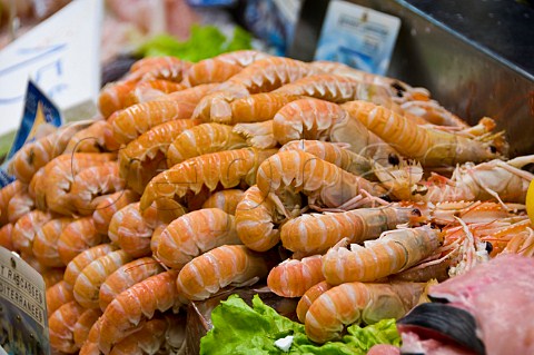 Langoustines on a fish stall in the covered market of Niort DeuxSvres France