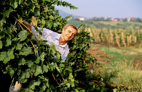 Istvan Toth of Toth Winery Eger Hungary Eger