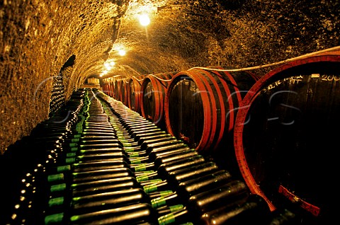 Barrels in the traditional winery cellar of Istvan Toth Eger Hungary Eger