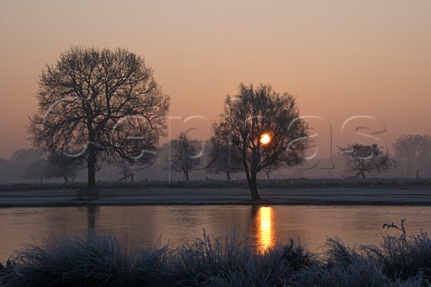 Misty sunrise over frozen Heron Pond Bushy Park near London England