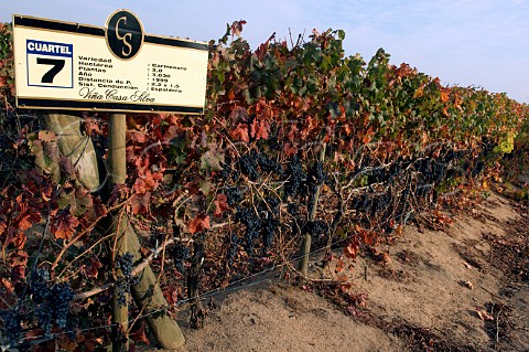 Sign in Carmenre vineyard of Via Casa Silva Colchagua Valley Chile