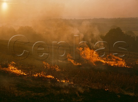 Stubble burning near Wimborne Minster  Dorset England