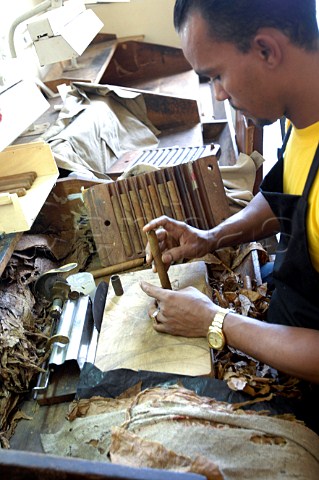 Handmade Cohiba cigar production  Havana Cuba