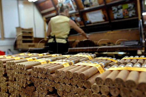 Handmade Cohiba cigars at the factory  Havana Cuba