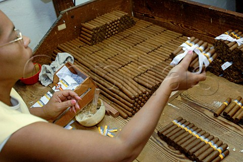 Handmade Cohiba cigar production  Havana Cuba