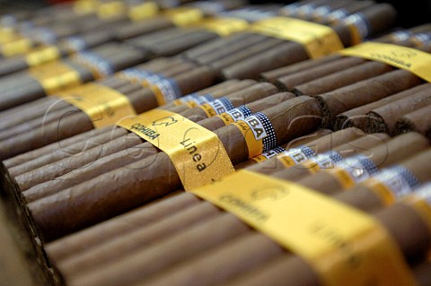 Handmade Cohiba cigars at the factory  Havana Cuba