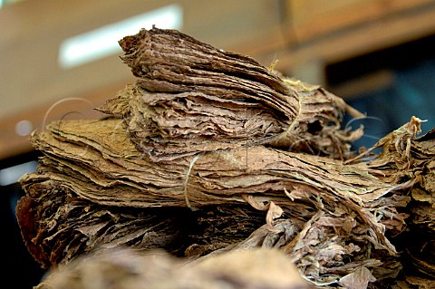 Stacks of tobacco leaves at the Cohiba cigar factory Havana Cuba