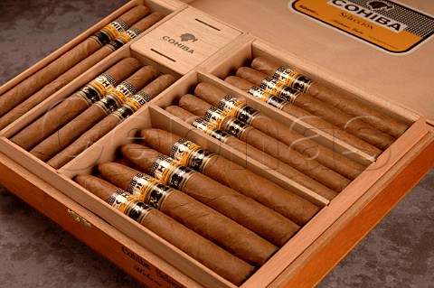 Box of Cohiba Reserva cigars Cuba