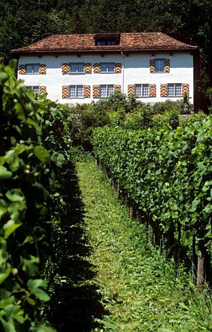 Gonzen winery and vineyard Sargans Switzerland    Eastern Switzerland