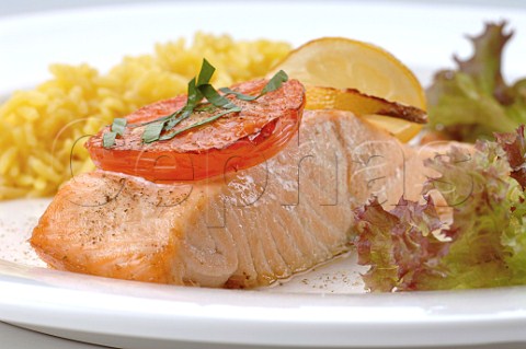 Grilled salmon with lemon sauce and rice