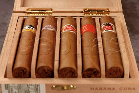 Box of handmade Cuban cigars