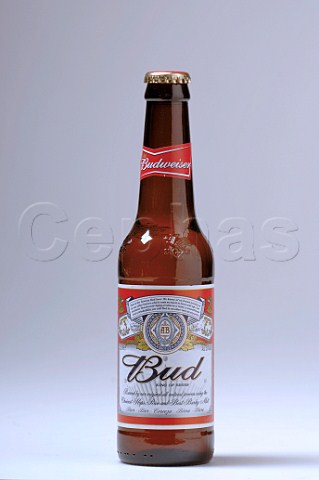 Bottle of Budweiser Bud American Beer