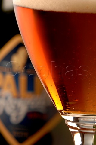 Glass of Palm Royale Belgian Beer