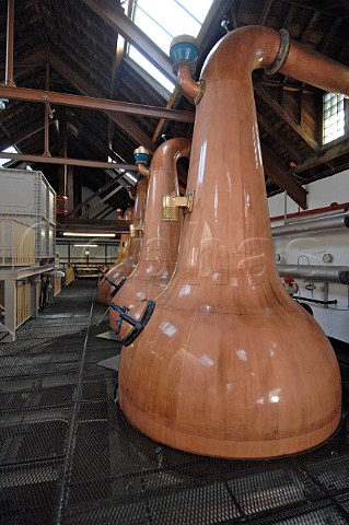 Copper pot stills at Glen Grant Distillery Speyside Scotland