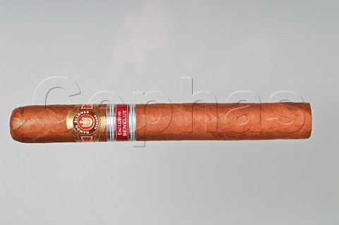 Ramon Allones Exclusivo Benelux Havana cigar