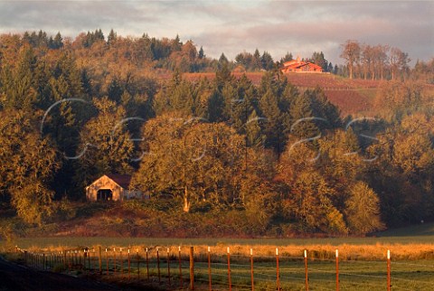 Dawn over PennerAsh Winery and Dussin vineyard Newberg Oregon USA  Willamette Valley