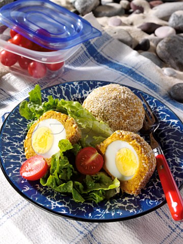 Falafel eggs at a beach picnic