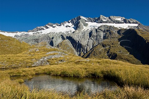 Rob Roy Peak from French Ridge track Mt Aspiring National Park South Island New Zealand