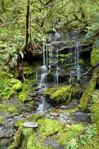 Waterfall in West Matukituki Valley Mt Aspiring NP South Island New Zealand