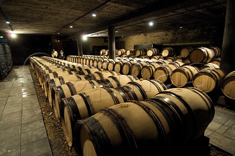 Barrel cellar of Chteau GenoelsElderen Riemst Belgium