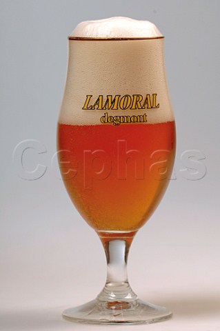 Glass of Lamoral Belgian beer