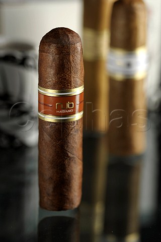 Nub Havana cigar