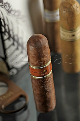 Nub Havana cigar