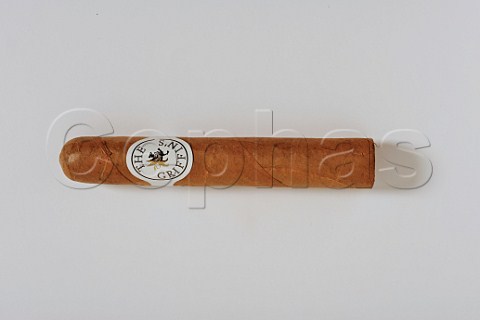 The Griffins Robusto cigar Dominican Republic