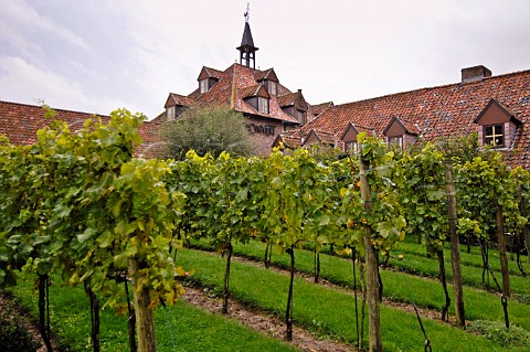 t Convent winery building and vineyard Reninge Belgium