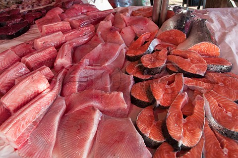 Fish on sale at the Peschera Rialto fish market San Polo Venice Italy