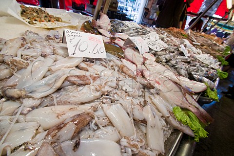 Squid on sale at the Pescheria Rialto fish market San Polo Venice Italy