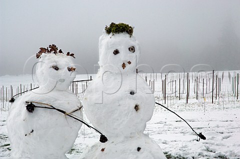 Snow people in vineyard on Ribbon Ridge Road  Newberg Oregon USA  Willamette Valley