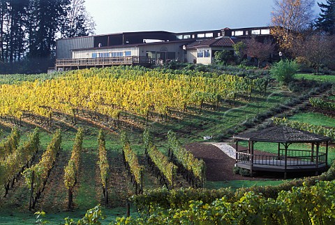 Elk Cove Winery and vineyards  Gaston Oregon USA  Willamette Valley