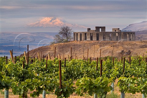 Stonehenge replica and Gunkel Orchards vineyard above the Columbia River with the snowcapped Mount Hood in distance  Maryhill Washington USA