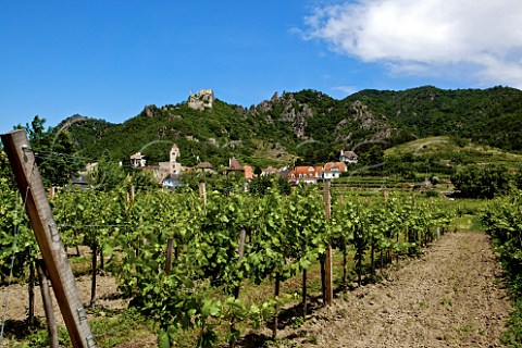 Village and ruin of Drnstein Wachau  Niedersterreich Austria  Wachau