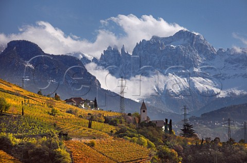Schwarhof vineyards of Loacker around the church of Santa Giustina view up the Isarco Valley over vineyards in the Santa Maddalena Classico zone on the outskirts of Bolzano with the Dolomites in the distance  Alto Adige Italy   Santa Maddalena Classico