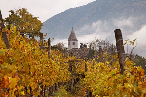 Schwarhof vineyard of Loacker and Sankt Justina church  Bolzano Alto Adige Italy   Santa Maddalena Classico