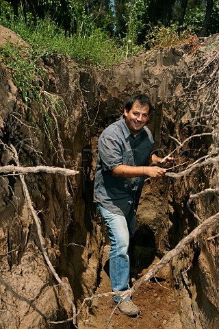 Pedro Parra in a soil profiling pit in vineyard of William Fvre Maipo Chile