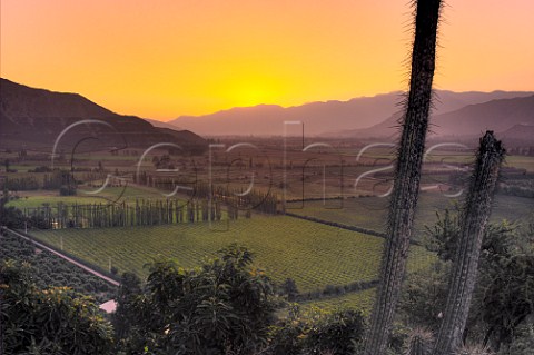 Sunrise over Via von Siebenthal Panquehue Chile  Aconcagua Valley