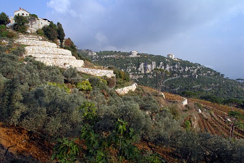 Mar Moussa monastery above its vineyard Lebanon