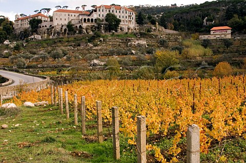 Vineyard at Saint Jean Monastery on Mount Lebanon Lebanon