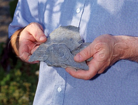 Ernie Loosen of Weingut Dr Loosen with a piece of the blue slate from his Sonnenuhr vineyard at Wehlen Germany   Mosel