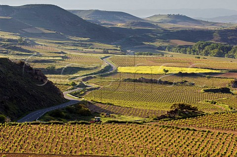 Road through vineyards near Baos de Ebro Alava Spain   Rioja Alavesa