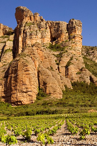 Tall rock columns of Camero Viejo mountains tower over vineyard near Islallana south of Logroo La Rioja Spain  Rioja Alta