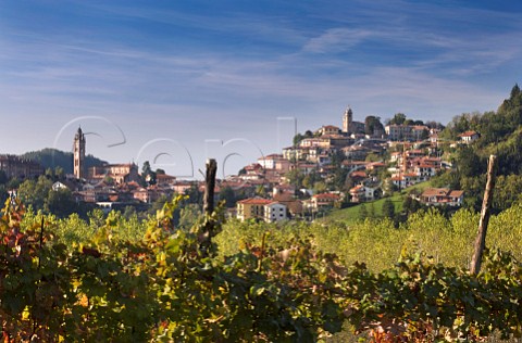 Monforte dAlba Piemonte Italy