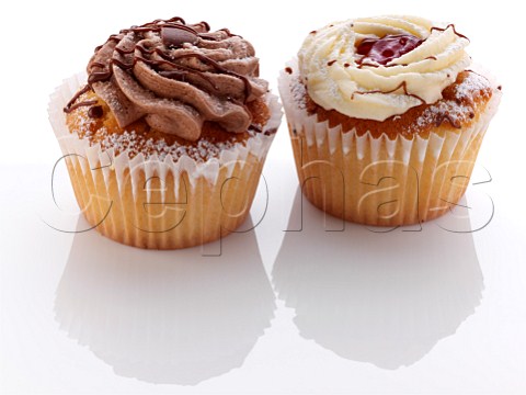 Cupcakes on a white background