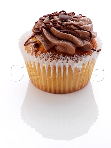 A cupcake on a white background