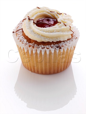 A cupcake on a white background