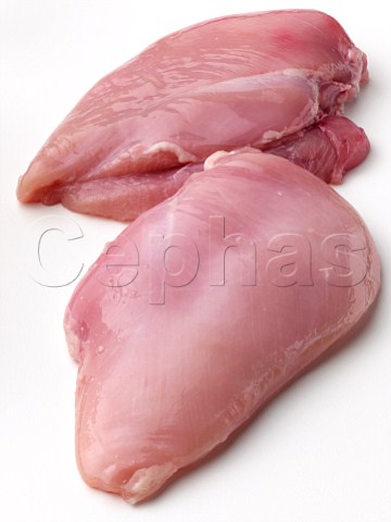 Raw chicken breasts ingredients on a white background