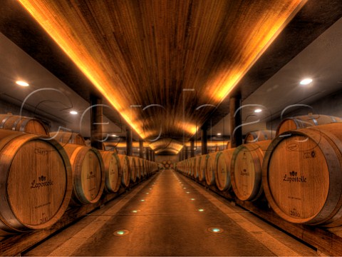 Firstyear barrel cellar of the Lapostolle Clos Apalta winery Apalta Colchagua Valley Chile